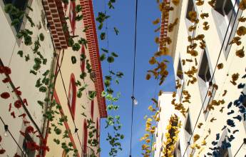 Marvels of Madeira Walk