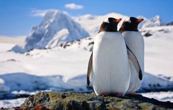 Antarctic Express: Fly the Drake