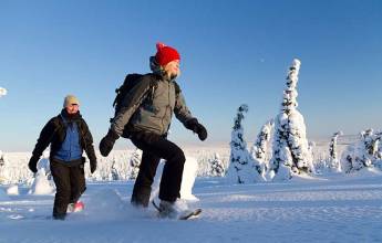 Finnish Wilderness Week