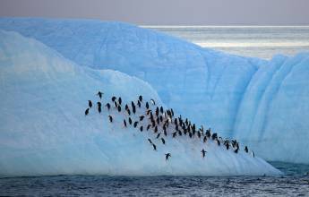 Crossing the Circle: Southern Expedition