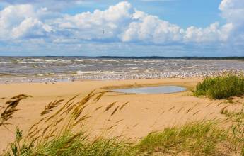 Discover the Baltics