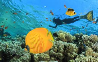 Kingdoms of Jordan – Premium Adventure