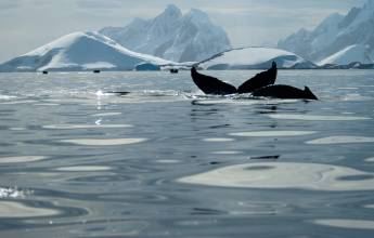 Crossing the Circle: Southern Expedition