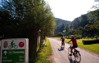 Cycling along the Danube, cycle sign, Austria