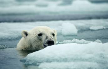 Northwest Passage: Epic High Arctic