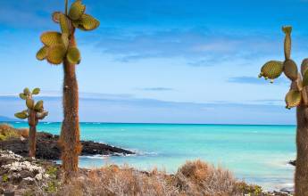Island Hopping in the Galapagos