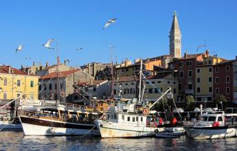 Coastal Croatia: Porec to Pula Cycling