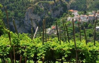 Paths of the Amalfi Coast