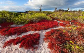Island Hopping in the Galapagos
