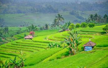 Cycling Indonesia’s Islands