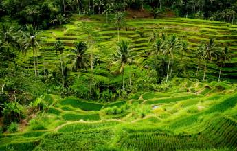 Cycling Indonesia’s Islands