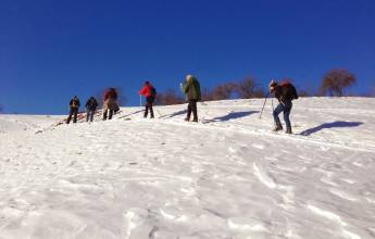 Transylvania Winter Walk & Snowshoe