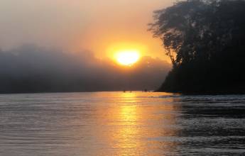 Amazon Rainforest Add-on (post-tour, from Lima)