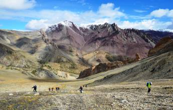 Trekking amidst the Ladakhi Himalaya