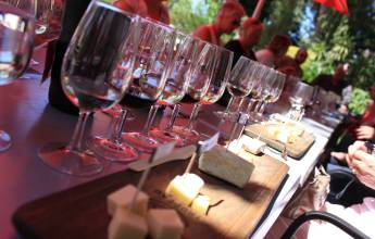 Discover Northern Portugal – Premium Adventure