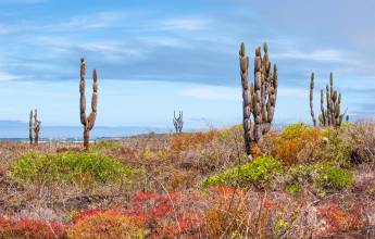 Island Hopping in the Galapagos