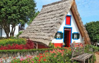 Marvels of Madeira Walk