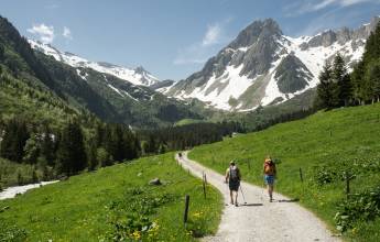 Tour du Mont Blanc Hotel Trek