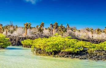 Galapagos Islands