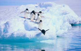 Crossing the Circle via Buenos Aires