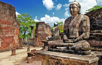 Sri Lankan Highlights