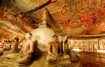 Sri Lankan Highlights