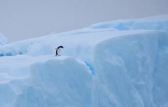 Crossing the Circle via Buenos Aires