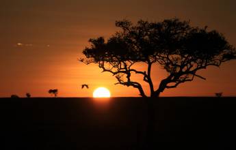 Kenya & Tanzania Adventure