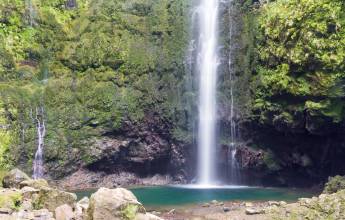 Marvels of Madeira Walk