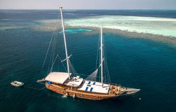 Marine Wildlife of the Maldives