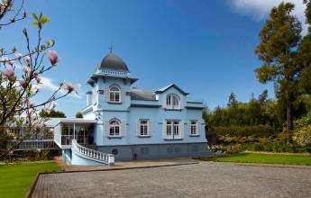 Marvels of Madeira Walk