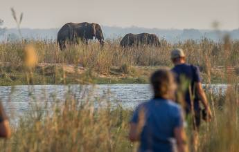 Zambezi Canoe Safari