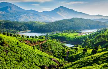 India’s North & South – Premium Adventure