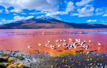 Cycle Chile & Argentina: Atacama to Salta