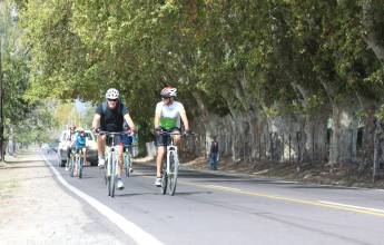 Cycle Chile & Argentina: Atacama to Salta