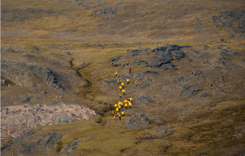 South Greenland Adventure: The Majestic Alpine Arctic