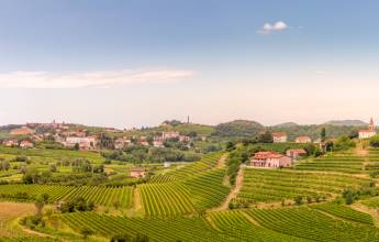 Goriska Brda a famous wine region of Slovenia located near Italy with the villages Smartno and Dobrovo. Sunrise and sunset looking over vineyards