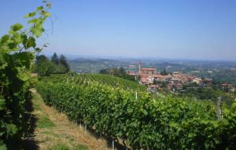 Gastronomic Barolo Walk