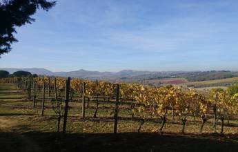 A Taste of Tuscany Cycling