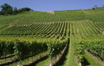 Passau to Vienna Cycling