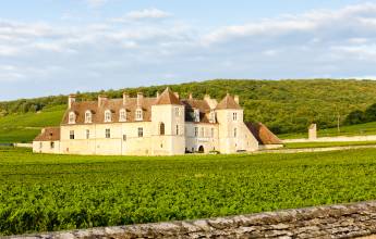 clos-blanc-de-vougeot