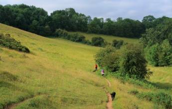 Best of the Cotswolds Self-Guided Walk