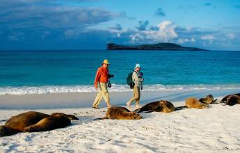sea lions with guests, Galapagos