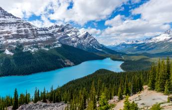 Discover the Canadian Rockies