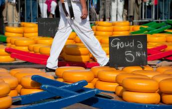 Gouda cheese market