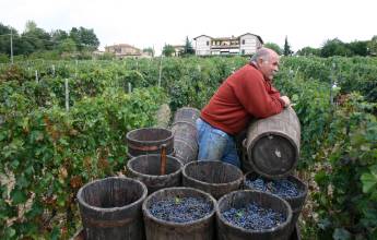 A Taste of Tuscany Cycling