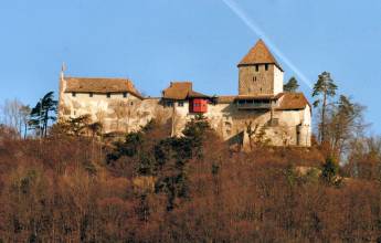 Highlights of Lake Constance by Bike