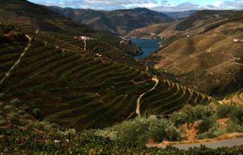 Cycling in the Douro Valley