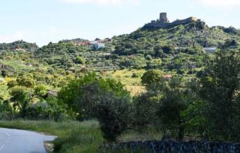 Cycling in the Douro Valley