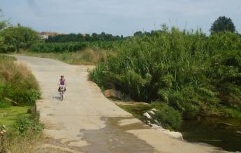 Contrasts of Catalonia (Catalunya) Cycling